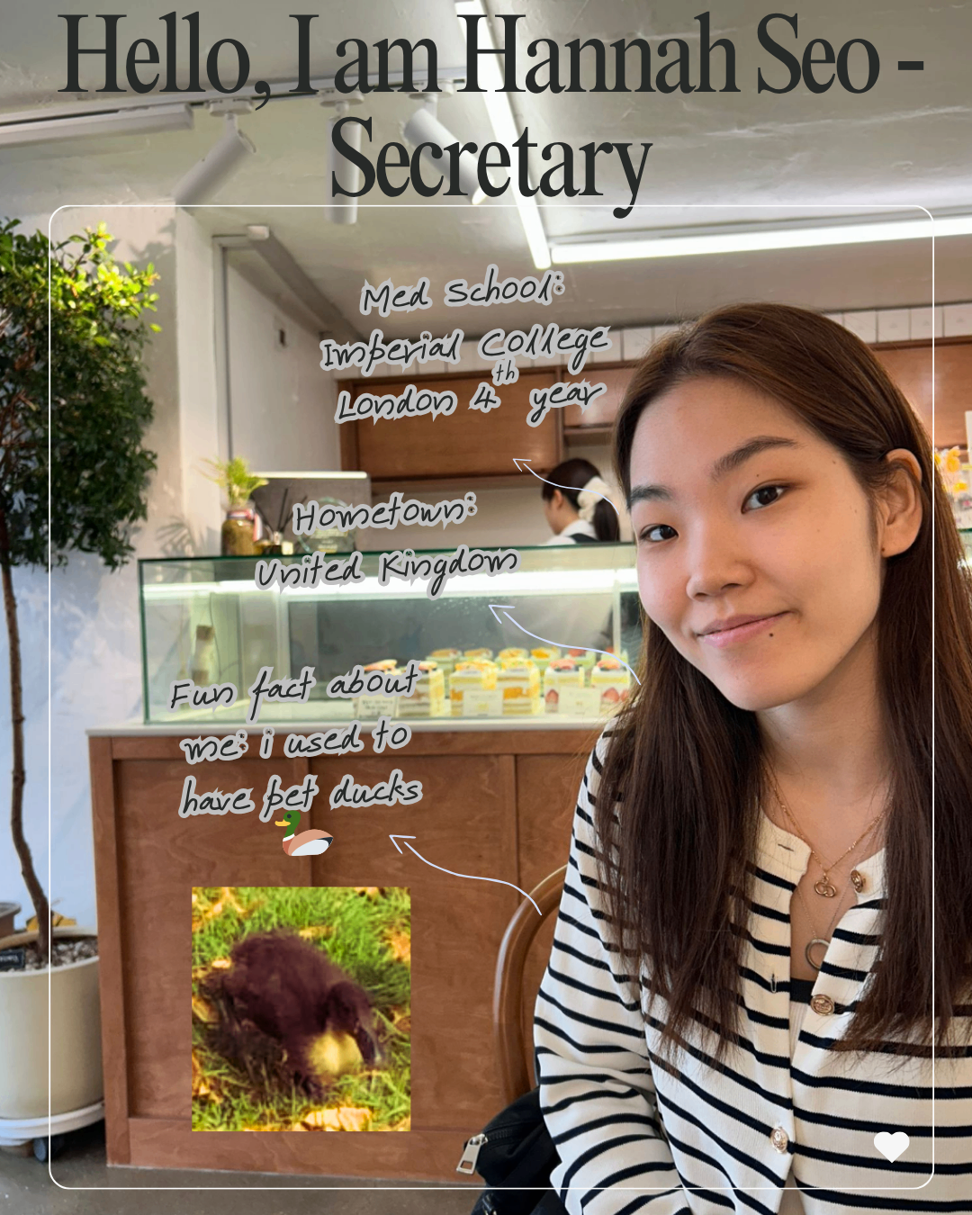 Hannah Seo, Secretary at KUMAS